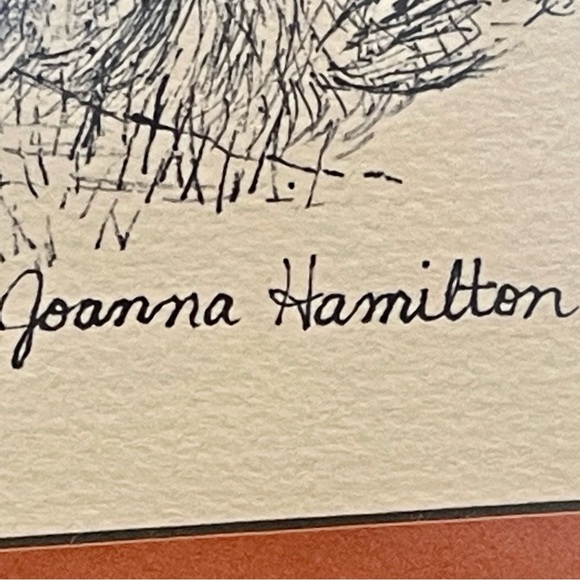 Vintage Original Pen and Ink drawing by Joanna Hamilton. Framed and Signed - Picture 4 of 16